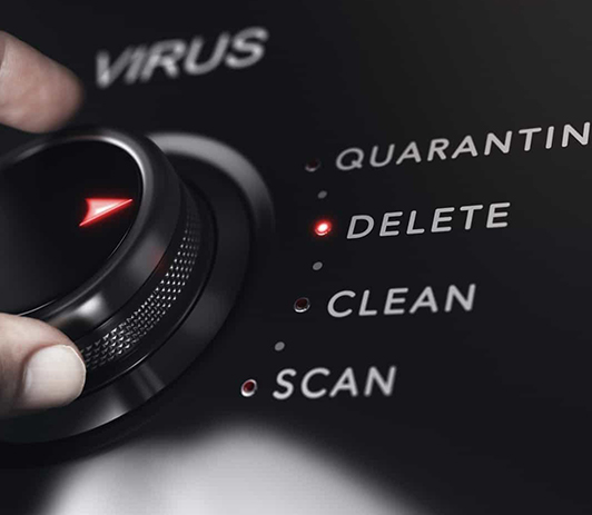 Virus Removal and Clean up